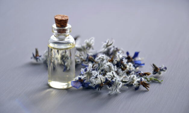 Beste Goedkope Eau de Toilette Getest: Top 3 (De Consumentenbond) [2023]