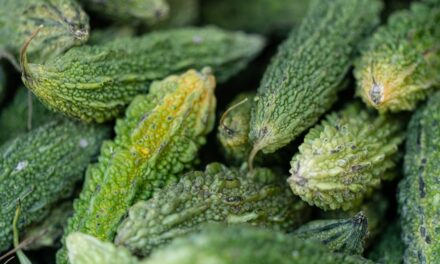 Beste Bitter Lemon Extract Getest: Top 3 (De Consumentenbond) [2023]