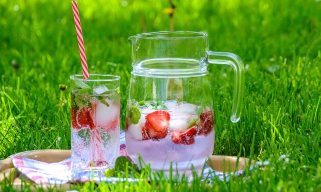 Beste Picknickaccessoires Getest: Top 3 (De Consumentenbond) [2023]