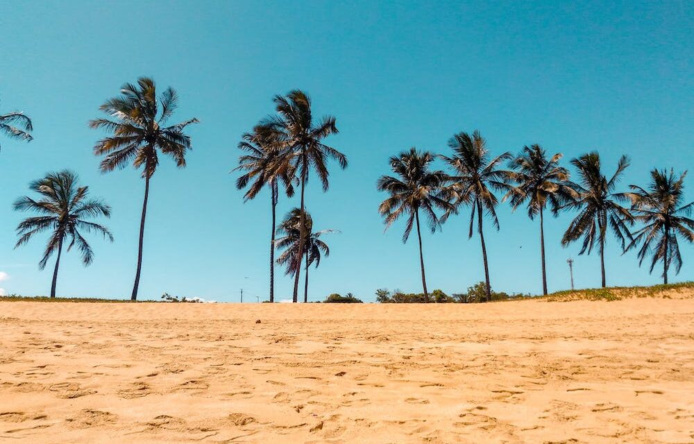 Beste Strand Accessoires Getest: Top 3 (De Consumentenbond) [2023]