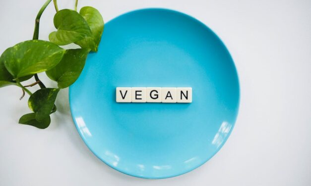 Beste Vegan Eiwit/Protein Poeders Getest: Top 3 (De Consumentenbond) [2023]
